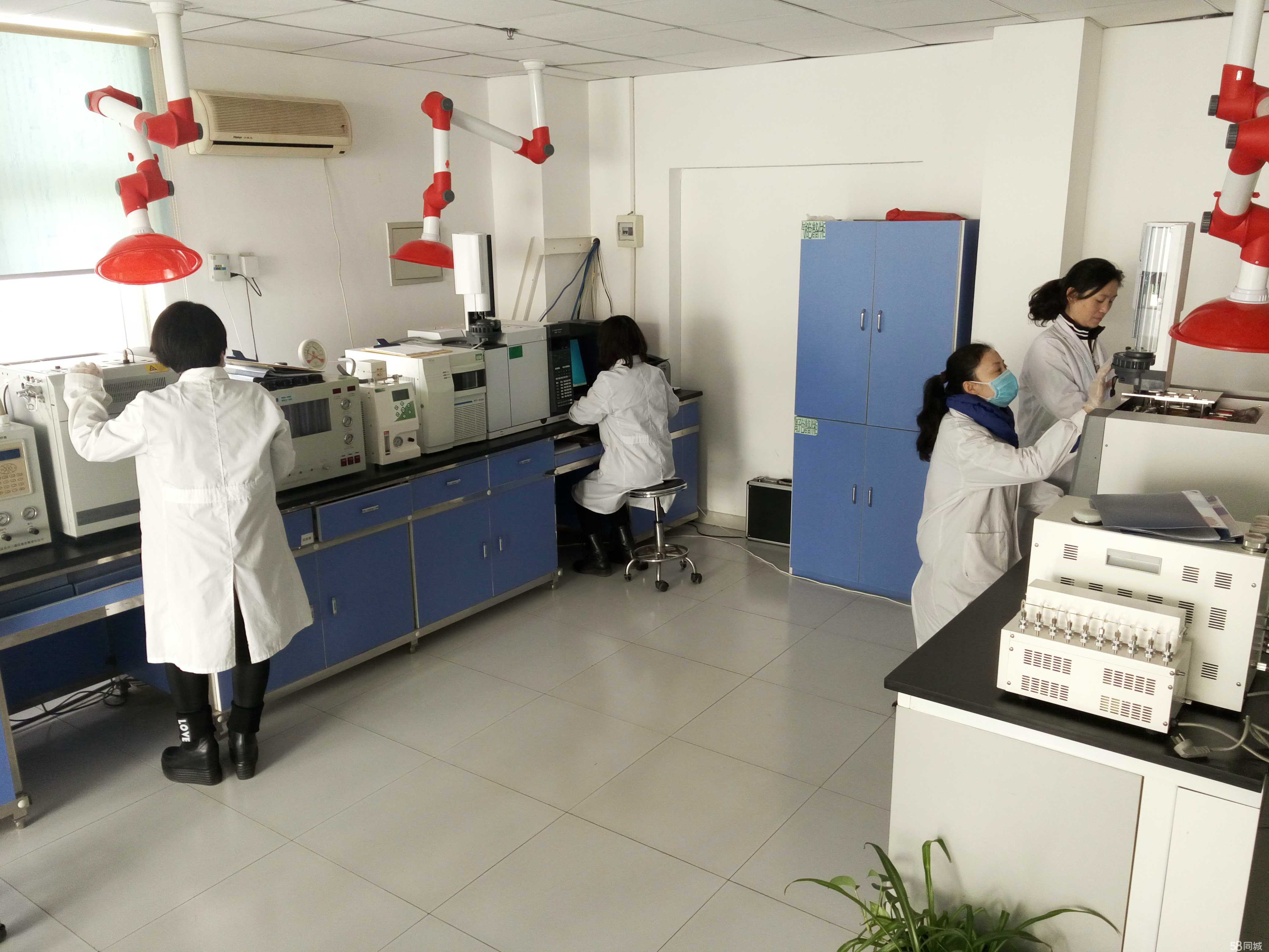 专业引领，精益致学——沧州金原检测技术服务纪实